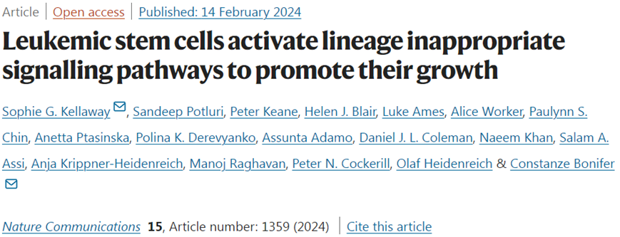 Natu Commun:揭示白血病干細胞在化療后促進自身生長機制 Natu Commun:揭示白血病干細胞在化療后促進自身生長機制