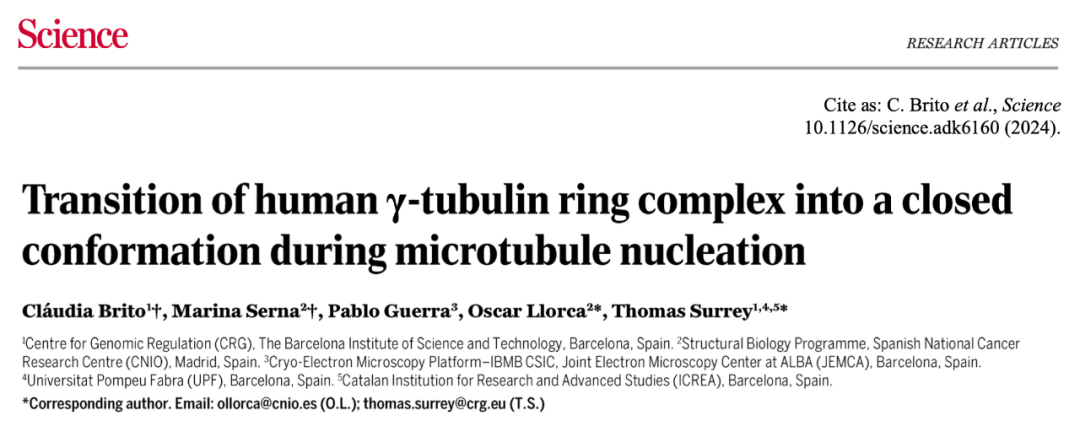 Science重磅:首次捕獲人類細胞“高速公路”構建過程的高分辨率圖像,為微管相關疾病的治療指明新的方向! Science重磅:首次捕獲人類細胞“高速公路”構建過程的高分辨率圖像,為微管相關疾病的治療指明新的方向!