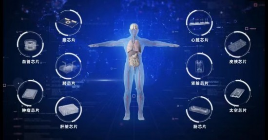 東南大學團隊牽頭完成中國首個器官芯片國家標準 東南大學團隊牽頭完成中國首個器官芯片國家標準