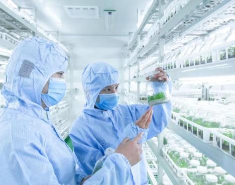 組織培養(yǎng)凈化工程：組培室車間凈化裝修設(shè)計布局及參數(shù)